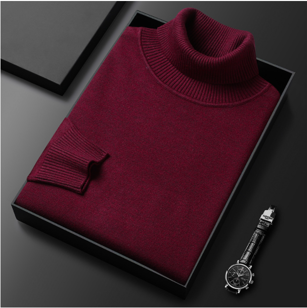 Lily | Men Spring Turtleneck Casual Sweater